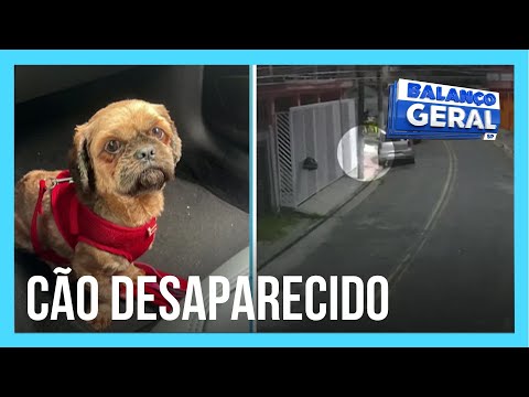 Família procura por cão desaparecido em Taboão da Serra