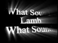 What Sound - Lambert Adam