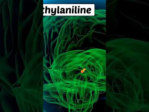 Third Eye Pineal Gland: The Biggest Cover-Up in Human History - Part 1