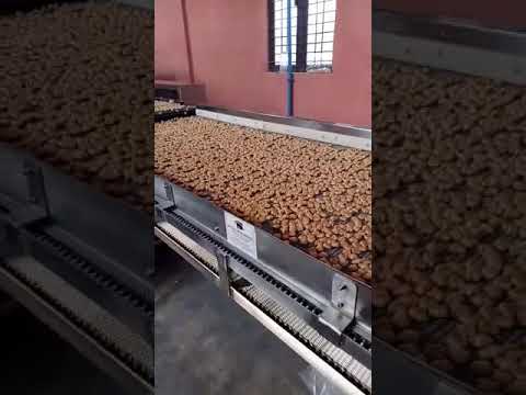 Stainless Steel Belt Conveyor