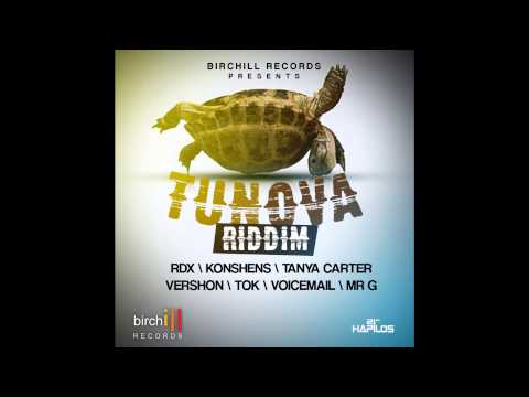 DJ Hollywood Tun Ova Riddim Mix [BIRCHILL RECORDS/JUNE 2013]