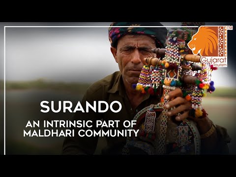 #SURANDO – An intrinsic part of maldhari community