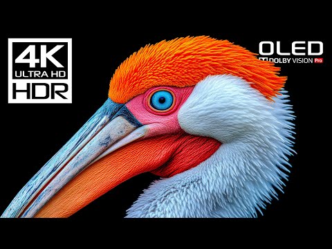 UNSEEN 4K HDR Dolby Vision 🌿 4K Video ULTRA HD 120 FPS
