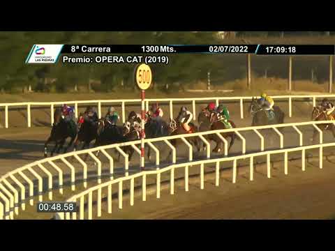 220702 c08 - GRADIN - HIPODROMO LAS PIEDRAS