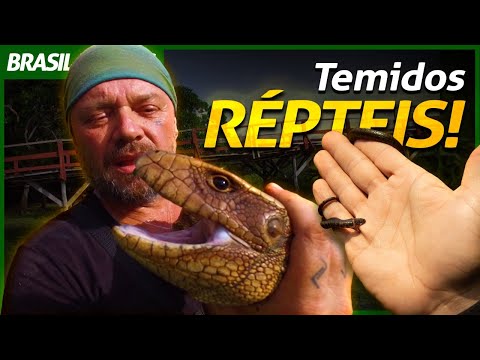 OS CINCO RÉPTEIS MAIS TEMIDOS PELOS POVOS PANTANEIROS! | RICHARD RASMUSSEN