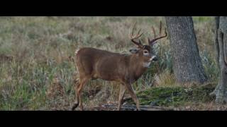 HARVESTED: REBOOT Jake Worthington | Traeger Grills x Silencer Co.