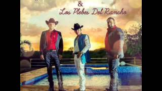Ariel Camacho-Buena Vision (Estudio)