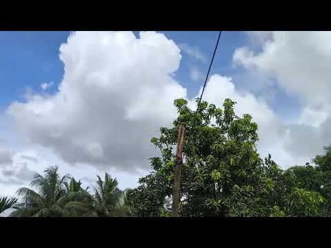 Beauty of nature #autumn #youtubeshorts 