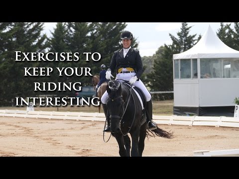 download lagu mp3 mp4 Dressage Exercises, download lagu Dressage Exercises gratis, unduh video klip Dressage Exercises
