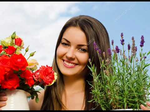 Ricky King Rot Sind Die Rosen Róże Czerwone