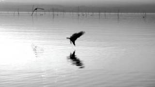 Built to Spill - Gone