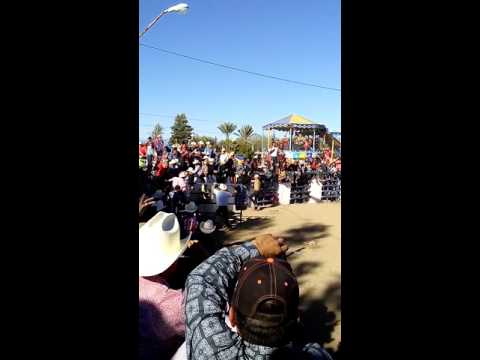 fiestas de la candelaria sauz de ures 2016