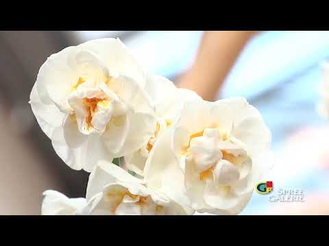 Frühling in der SPREE GALERIE - 22.03.2019