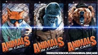 Animals In Cage - Zoo Escape (Free Download In Description)