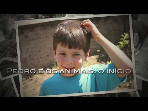 Pedro e os animais