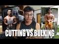 CUTTING VS BULKING JOURNEY THIS 2021 | MAY IIMPROVE PA BA SA 2022?