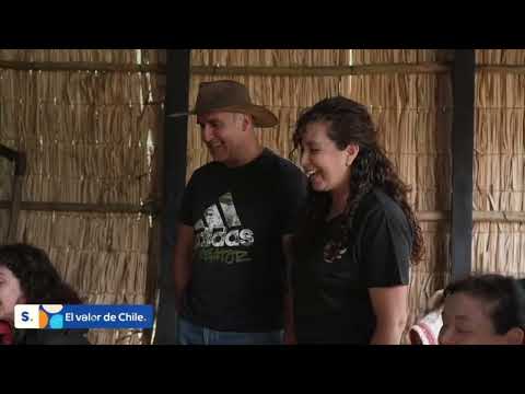 Cunco, Tamara Acosta , Quecherehue