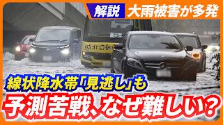 【解説】「線状降水帯」予測なぜ難しい？的中率は想定以下／大雨被害が多発…温暖化影響も／予測「空振り」でも重要な理由／気象庁が「船」で観測開始【共同通信カイセツ！】