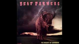 The Beat Farmers - God Is Here Tonight