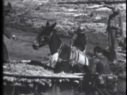 COMBAT BULLETIN NO. 35