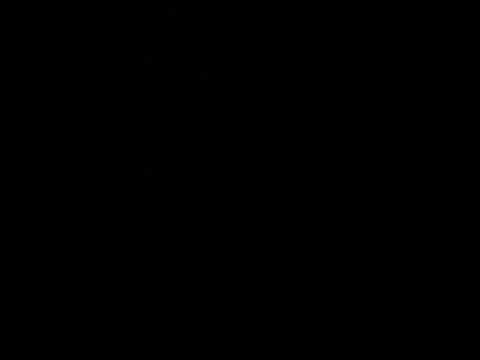 Barred owls. Who cooks for you? Who cooks for you allllll.