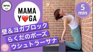 【らくだのポーズ】壁を使ったらくだのポーズ　胸が広がる　前向きになる　Open Heart 　Ustrasana（ウシュトラーサナ） #57