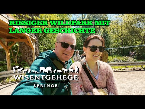 BISENTGEHEGE Springe 2025 - A HUGE wildlife park (VLOG)