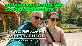 WISENTGEHEGE Springe 2025 - Ein RIESIGER Wildpark (VLOG)