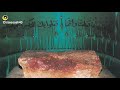 Wo Pathar Jis Pr Shahdat K Bad Imam Hussain RA Ka Sir Mubbark Rakha Gya Tha Shahdat Karbala Short