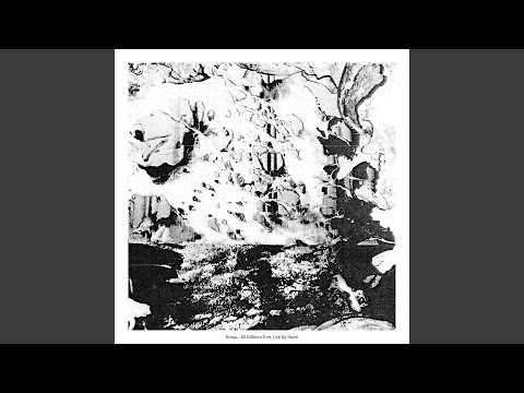 Across The Firmament, Stride!