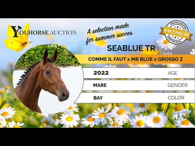 Seablue