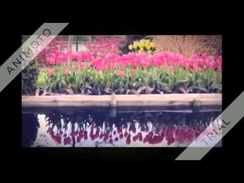 Mount Vernon Washington