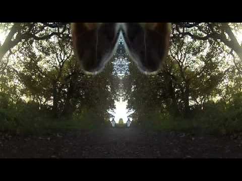 The Last Skeptik - Park Champ - A Short Film From a Dogs-Eye-View