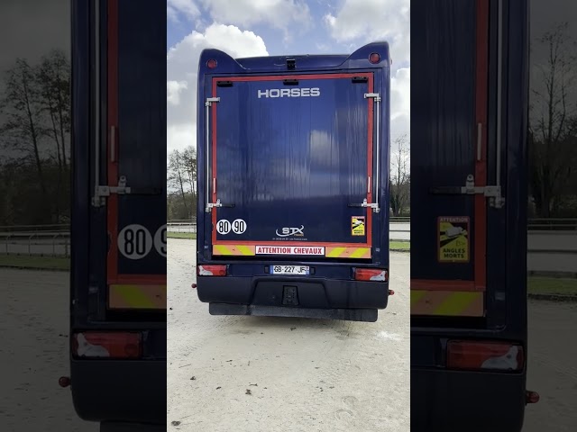 Horsebox NON-HGV Iveco STRALIS 2011 Used