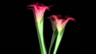 The Future Sound Of London - She Fell Backwards