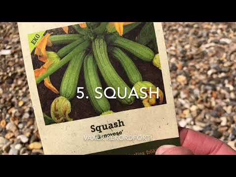 10 Sådder i MAJ i Trädgården på Friland eller Odla i pallkrage