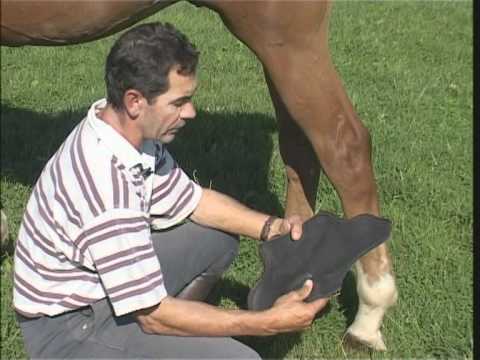 comment poser des guetres