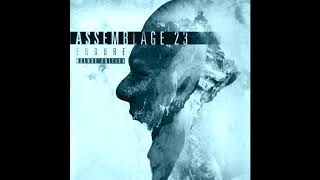 Assemblage 23 - Salt the Earth (Angeltheory Remix)