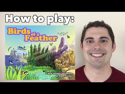 JonGetsGames - Birds of a Feather: How to Play!