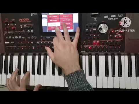 Korg pa1000 Bas i kontre SET 2024 "čitaj opis"