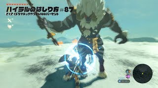 ゼルダの伝説 Bow やりこみ100 ハイラルのはしり方 第133話 白髪のライネル ウライト湖 ショダ サーの祠 フロリア大滝 フロリア湖 のイワロック コログ692 تنزيل الموسيقى Mp3 مجانا