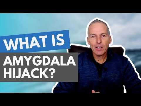 How to Stay in Control in Stressful Situations [Amygdala Hijacking Explained]
