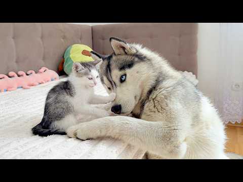 YouTube 썸네일
