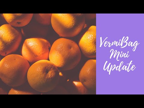 8 Orange Peels Verdict: VermiBag Mini Update #euros #blueworms