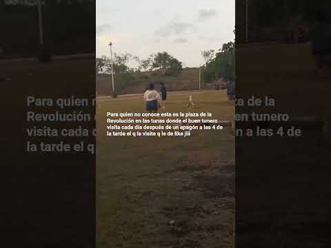 #seguidores #plaza de la Revolución en las tunas #shorts #cubanosporelmundo
