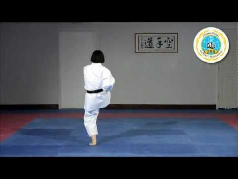 Kihon Kata Go - International Hayashi-Ha Shito-Ryu
