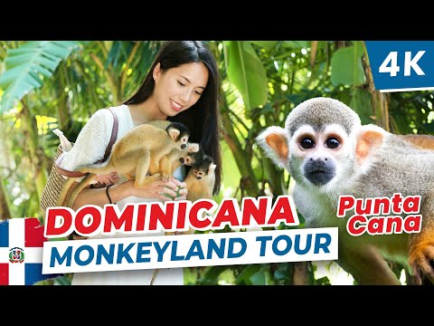 [4K] 🇩🇴 Unforgettable Monkeyland Tour in Punta Cana, Dominican Republic