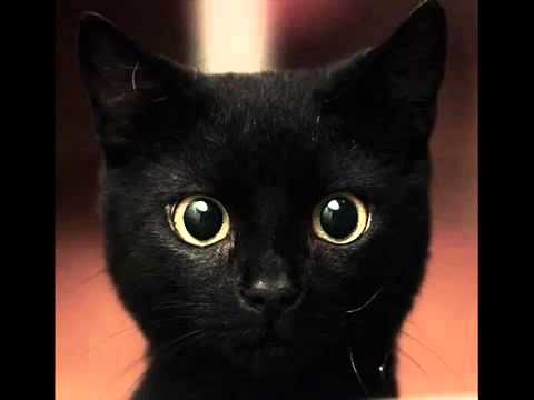 Frivolous - Ostalgia #MADinBelgrade