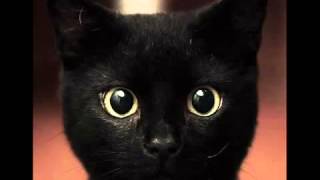 Frivolous - Ostalgia #MADinBelgrade