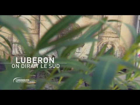 Video vignette